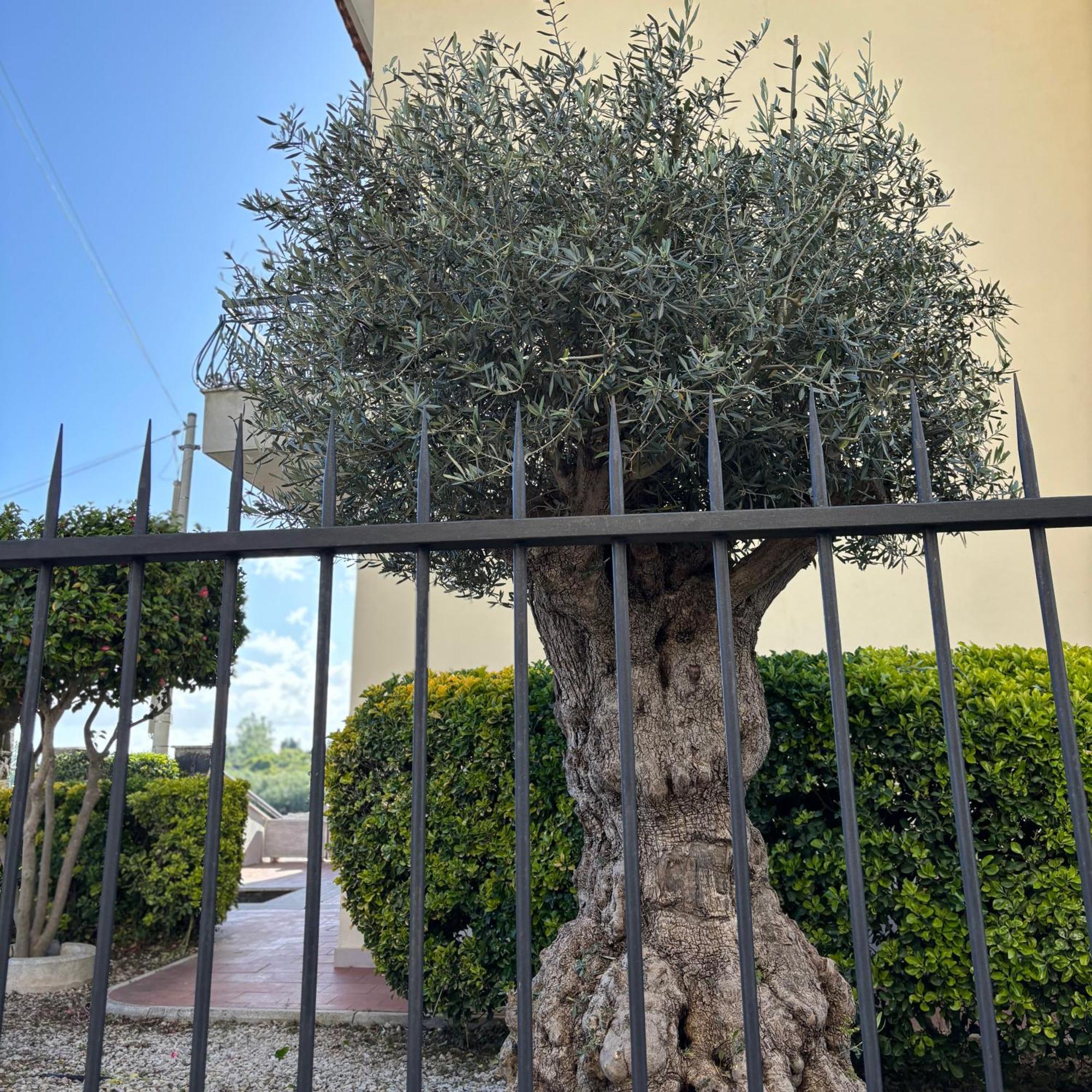 Villa Manzo-Pompei Vesuvius holiday house Boscotrecase Exterior foto